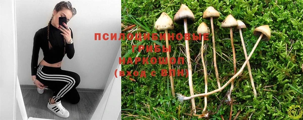 гидропоника Ростов