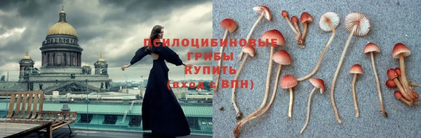 гидропоника Ростов