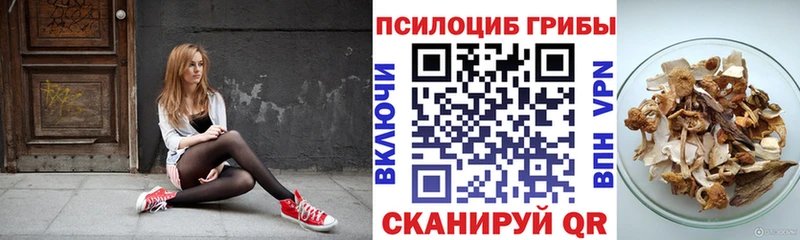 Купить  Дигора  Псилоцибиновые грибы Psilocybe 