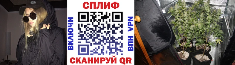 Марихуана марихуана  Купить где  Дигора 